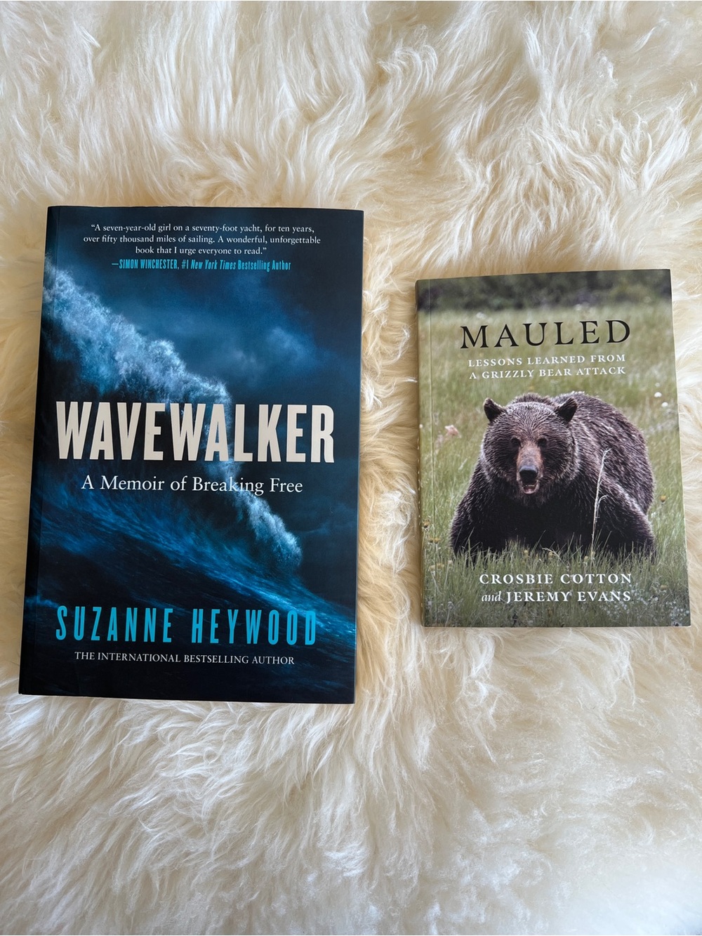 Novels - human resilience